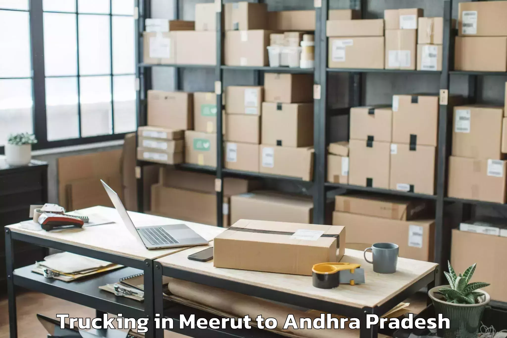 Leading Meerut to Ojili Trucking Provider